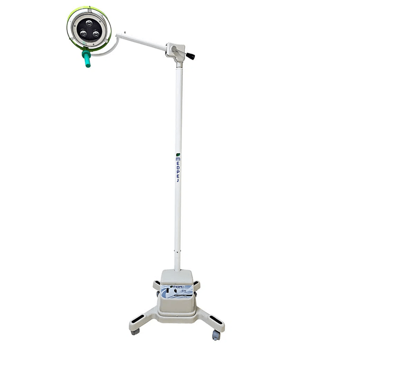 FCL11