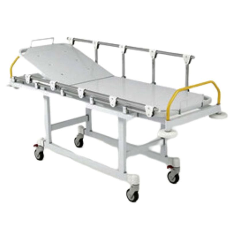 CMA31003