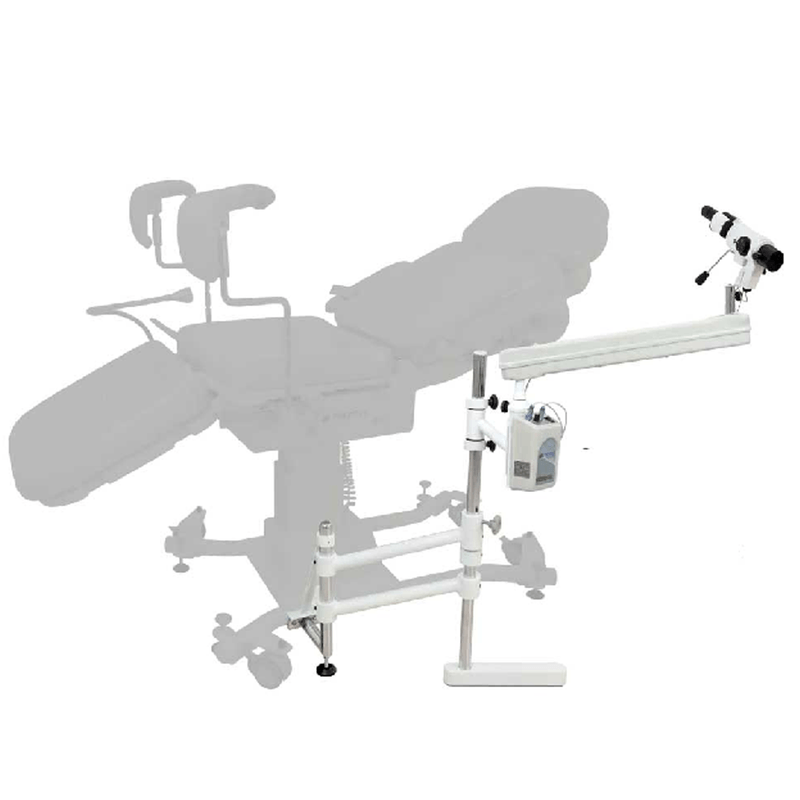 CBM1361-1